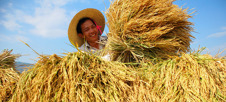 踐行國家惠農政策