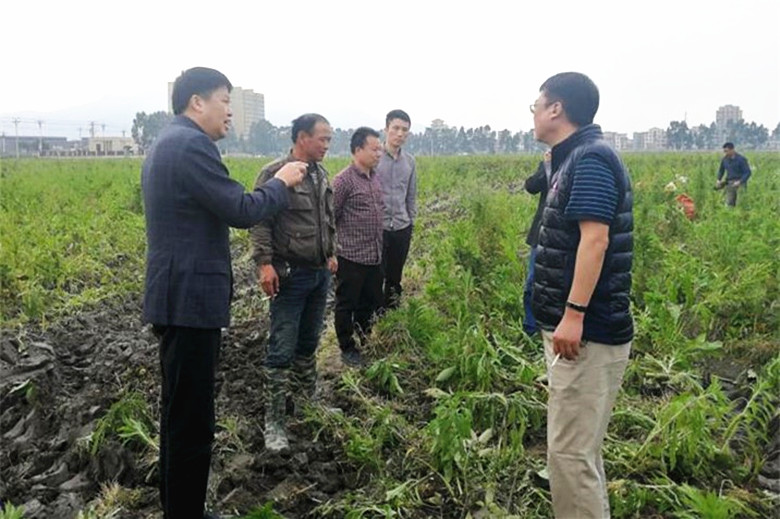 福建中農圖三_副本780